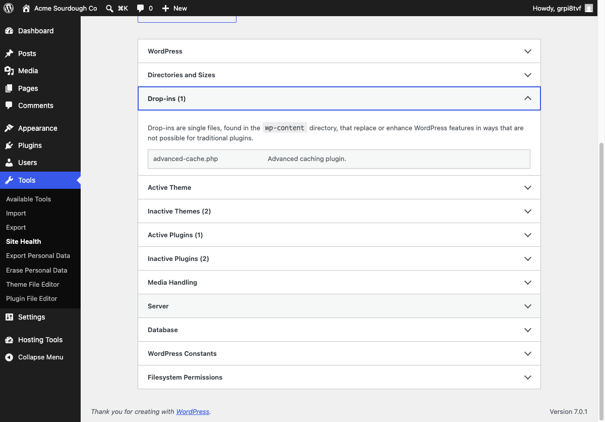 WordPress Site Health Info screen with the Drop-ins section expanded, listing advanced-cache.php